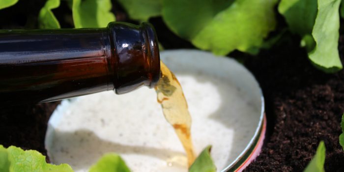 Last van slakken? Biertje! (En meer slimme middeltjes)