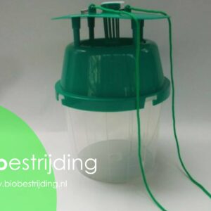 Feromoonval voor Buxusmot (incl. 2 capsules)