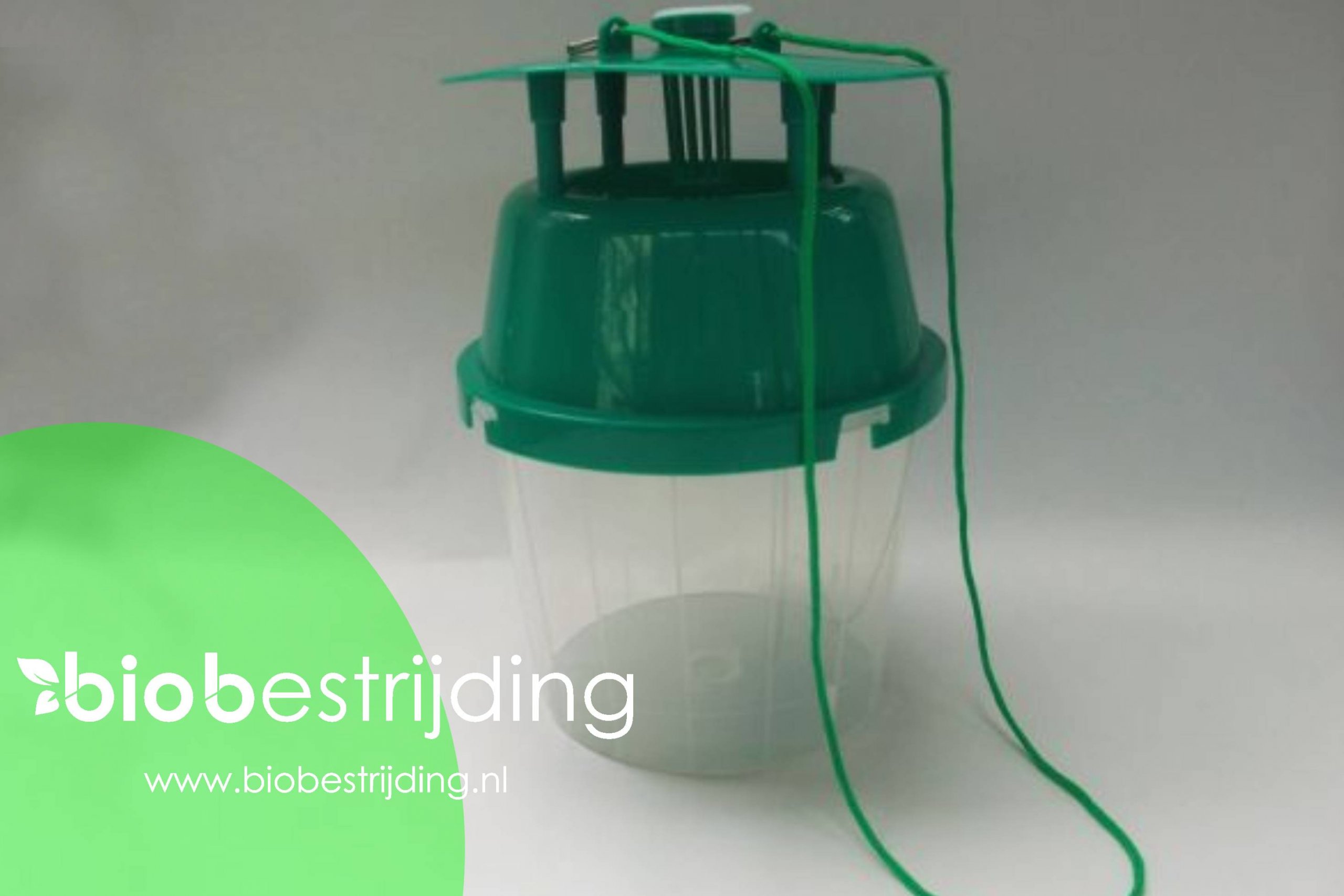 Feromoonval voor Buxusmot (incl. 2 capsules)