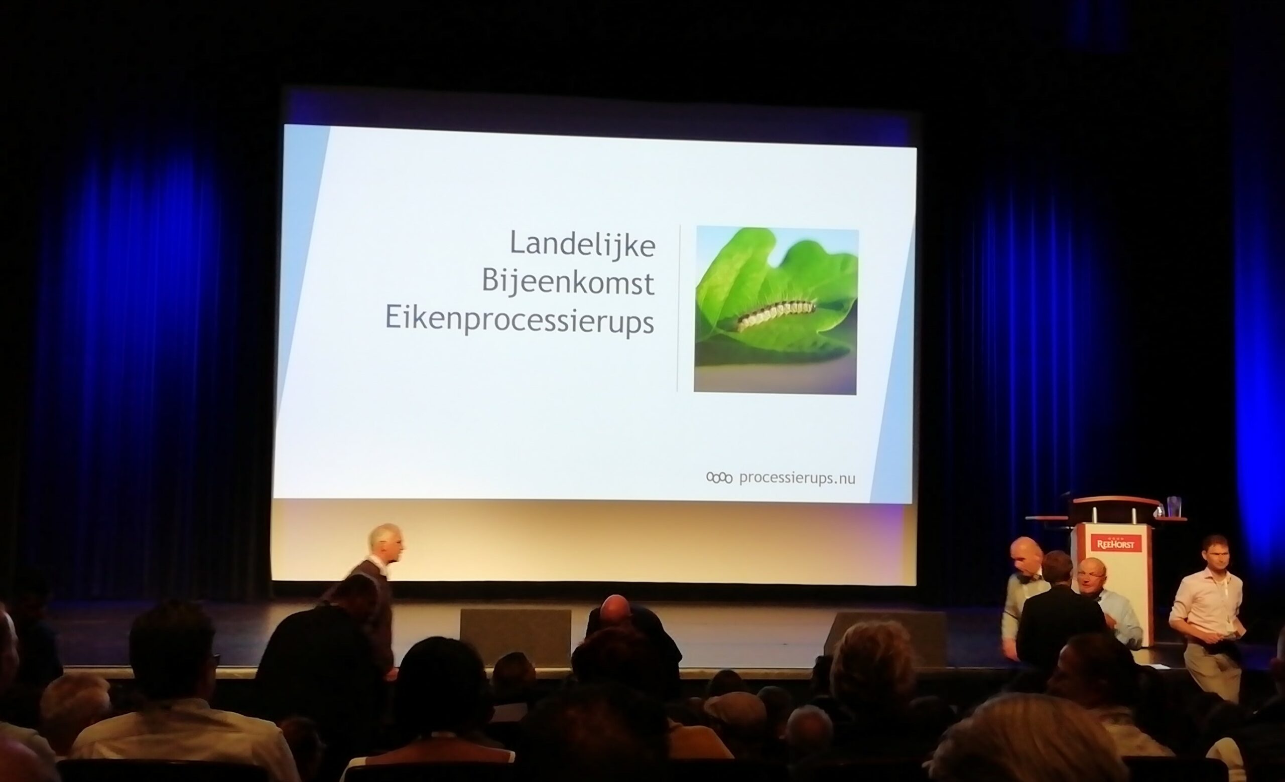 Eikenprocessierups bijeenkomst