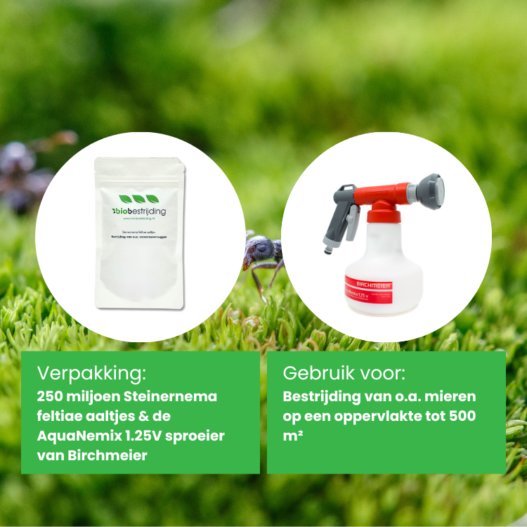 Combideal Steinernema feltiae aaltjes + sproeier - Afbeelding 2