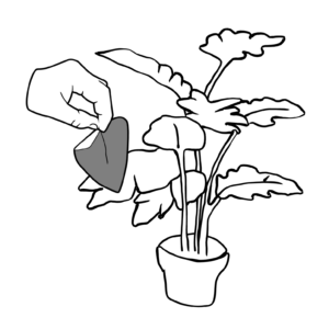 Roofmijten tegen spint op blad (correctief)