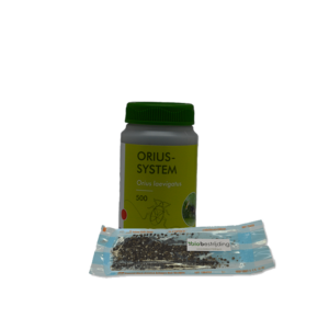 Combideal Orius laevigatus roofwantsen 500 stuks + Hypoaspis roofmijten