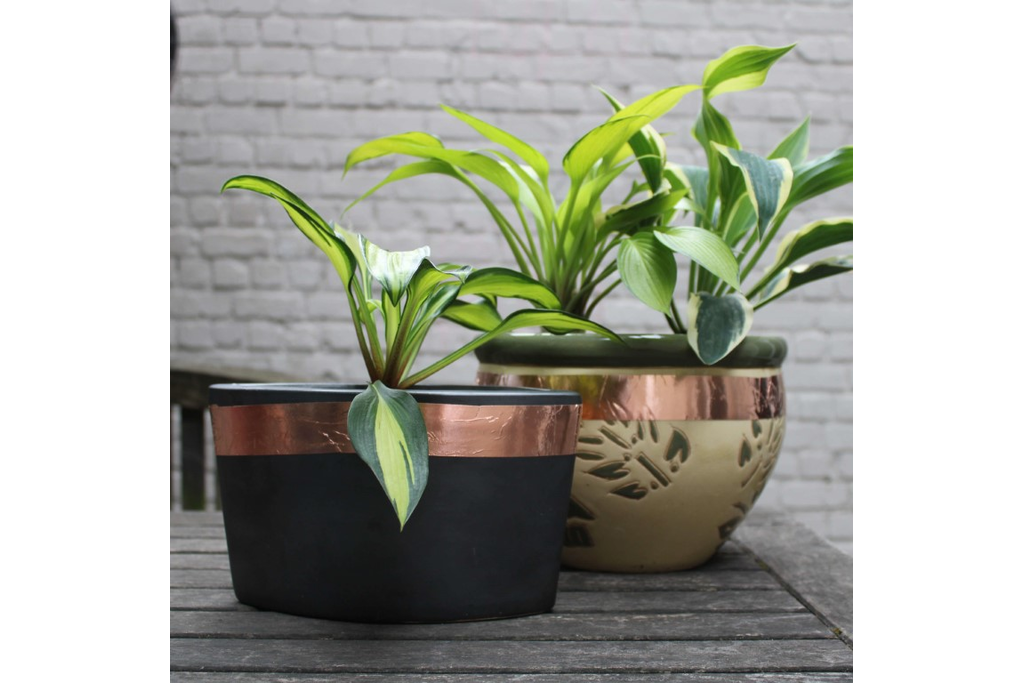 kopertape bij planten