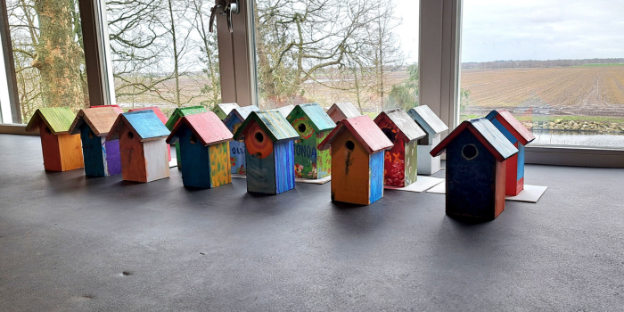 Dit kan je doen met onze DIY vogelhuisjes!